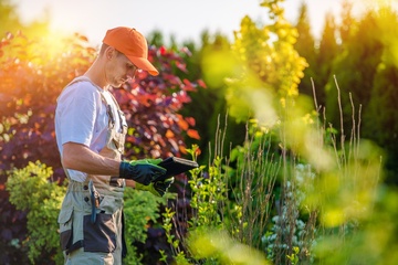 Pourquoi est-il avantageux de faire appel à un professionnel en entretien de jardin ? 